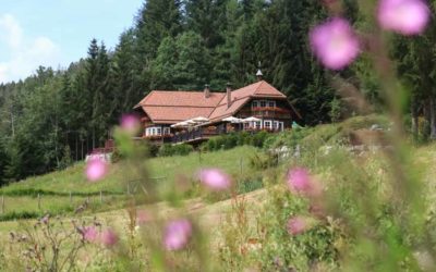 Hochzeit Forellenhof Buhlbach