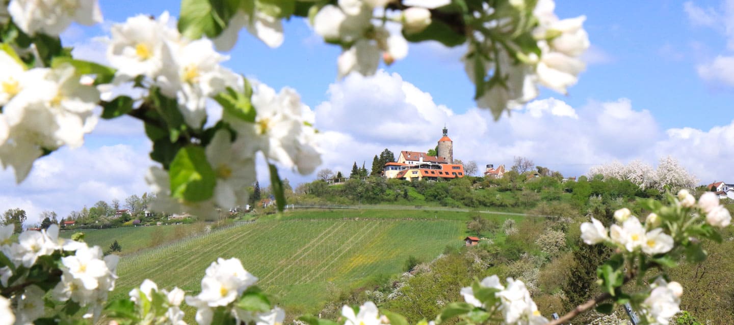 schöne aussicht bürg informationen